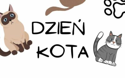 Dzień kota